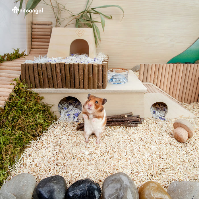 Best Hamster Bedding A Comprehensive Guide for Pet Owners