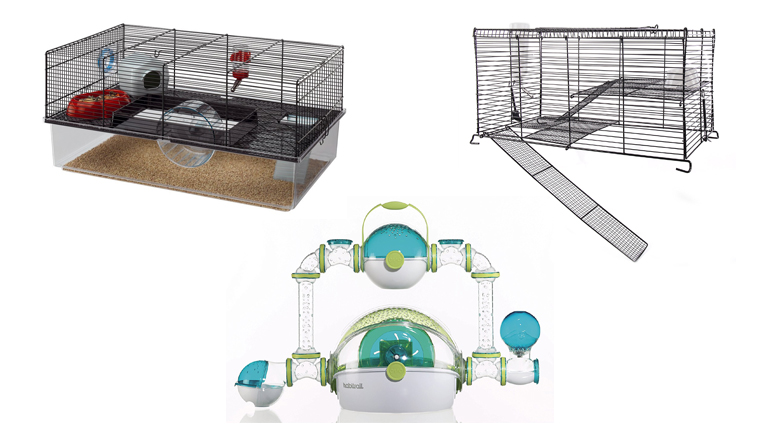 Best Hamster Cage A Comprehensive Guide