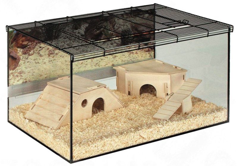 Best Hamster Cage A Comprehensive Guide