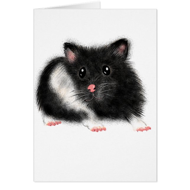 Black and White Hamsters The Ultimate Guide