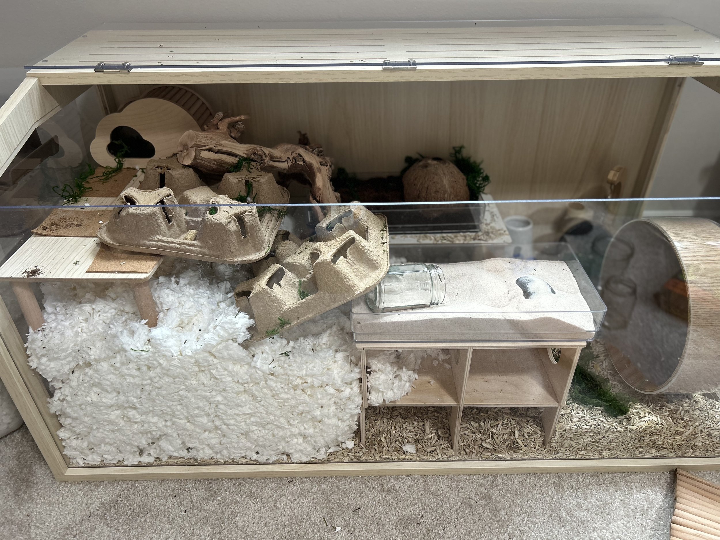 Hamster Cage Setup A Comprehensive Guide for Happy and Healthy Hamsters