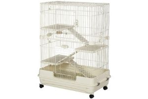 Introduction Hamsters and the Importance of a 450 Square Inch Cage