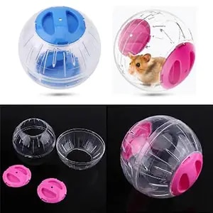 The Best Hamster Toys for a Happy and Healthy Pet