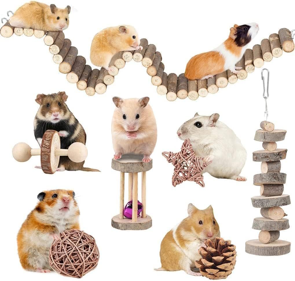 The Best Hamster Toys for a Happy and Healthy Pet