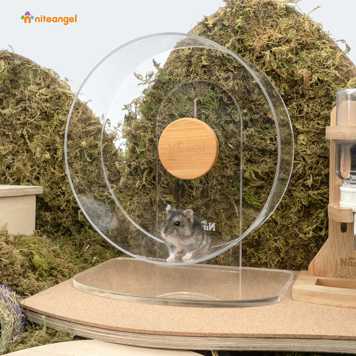 The Best Hamster Wheel A Comprehensive Guide to Choosing the Safest and Most Suitable Wheel for Your Furry Friend