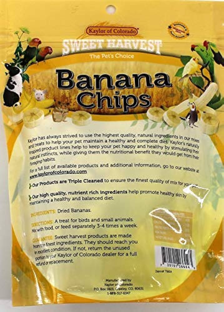 Can Hamsters Eat Bananas? A Guide to Safe Treats