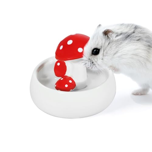 Can Hamsters Eat Cheese? A Comprehensive Guide