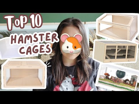 Creating the Perfect Hamster Habitat