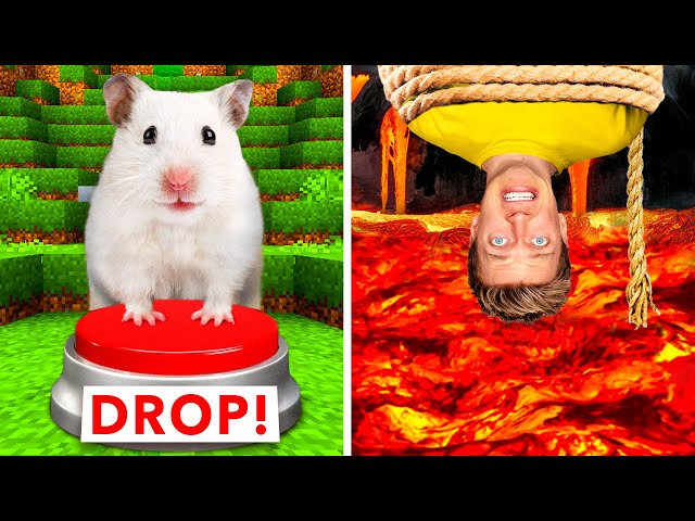 Gerbil vs. Hamster A Comprehensive Comparison