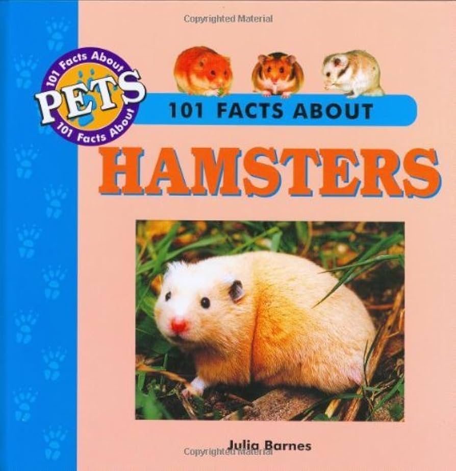 The Adorable World of Hamsters An Overview