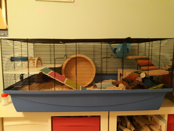 The Art of Hamster Happiness A Comprehensive Guide to Creating a Thriving Habitat