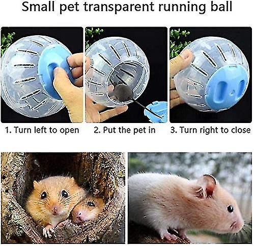 The Hamster Ball Conundrum Are They Fun or a Fiasco?