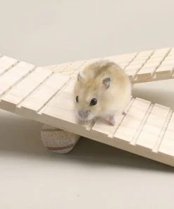 Bập bên gỗ bé cho Hamster