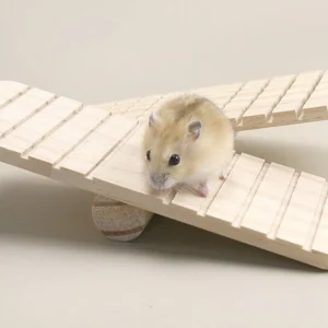 Bập bên gỗ bé cho Hamster