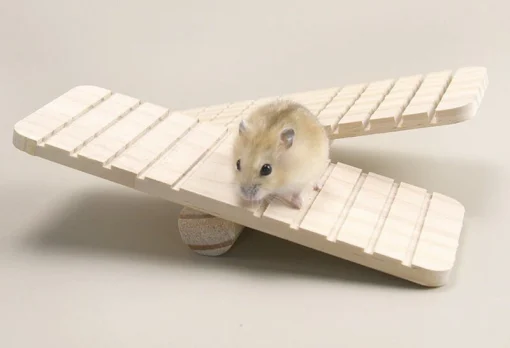 Bập bên gỗ bé cho Hamster