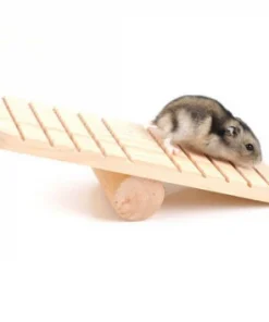 Bập bên gỗ bé cho Hamster1