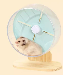 vòng xoay cho hamster1